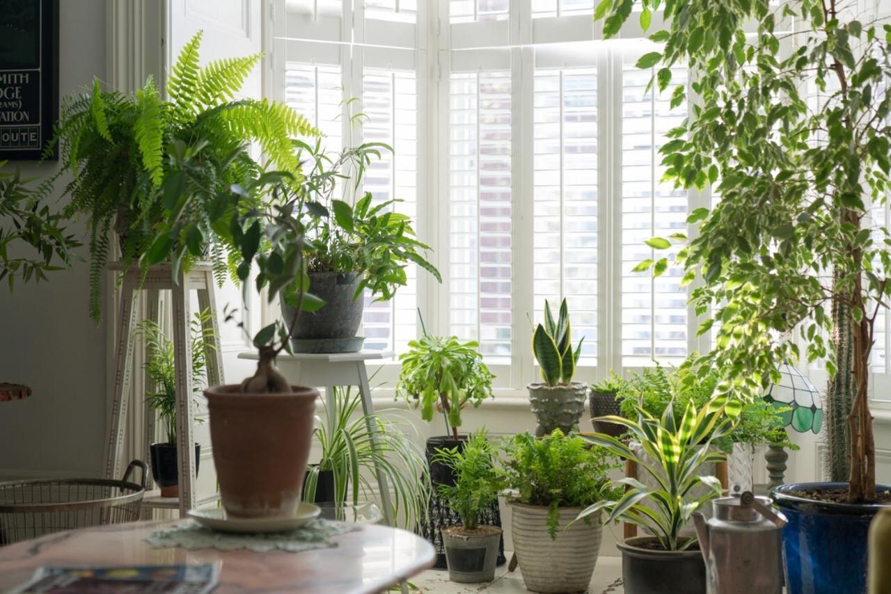 The Green House Портцмаус Экстерьер фото