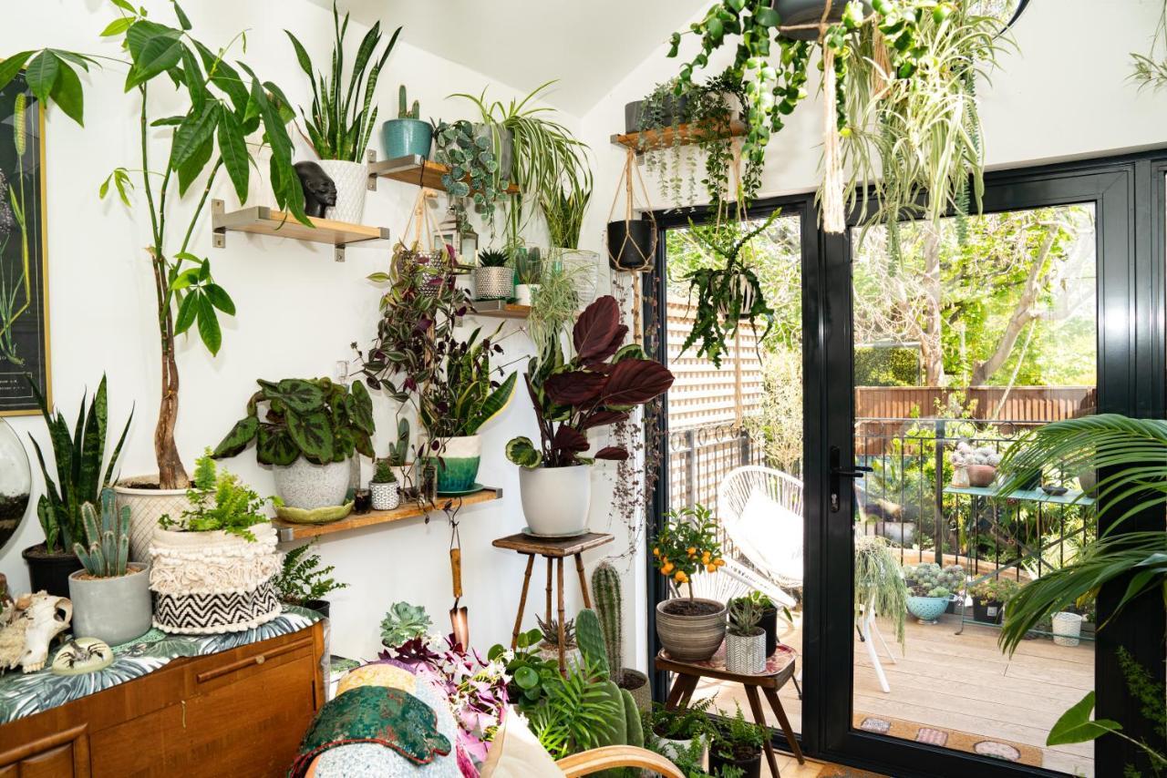 The Green House Портцмаус Экстерьер фото